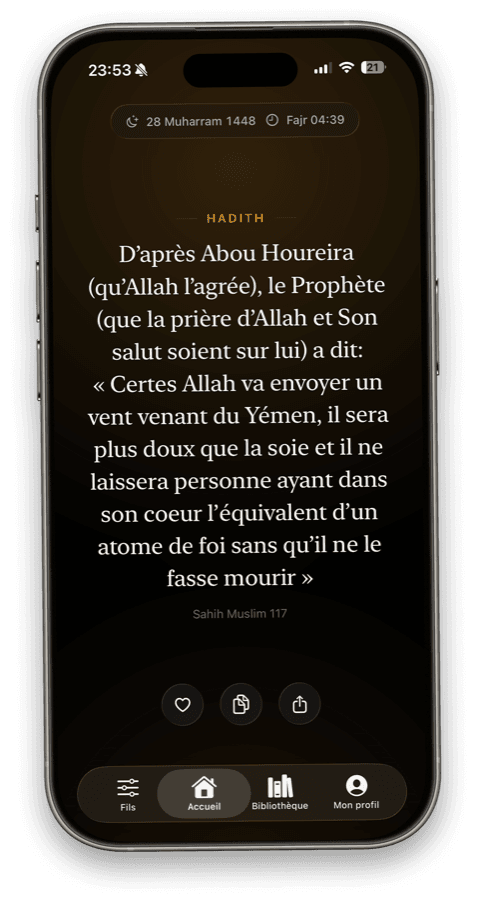 Aperçu DeenKit 5